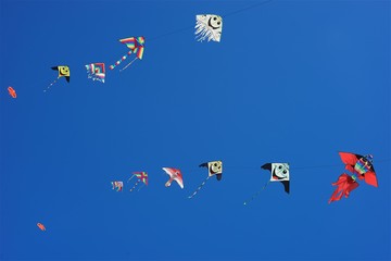 Aquiloni d' estate