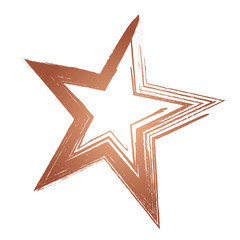 Weihnachtsstern Kupfer