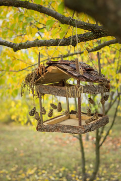 bird feeders decorated with pine cones hanging from a tree