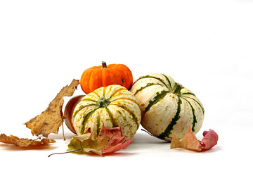Fall and Pumpkins