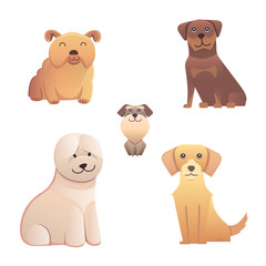 Collection cute different type of dogs small and big. Vector breed  isolated set. Cartoon illustrations  a happy doggy  puppy. Pet animal clip art characters for veterinarian design