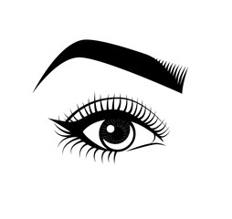 Female Eye and Eyebrow. Makeup. The Beauty Industry. Vector Illustration