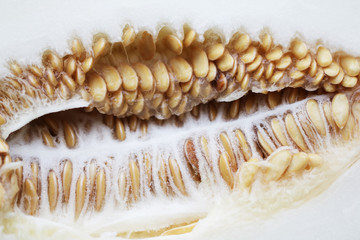 Fresh melon with seeds close up half cut