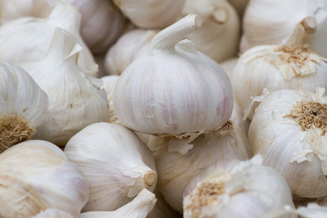Garlic background. White cloves of organic vegetables