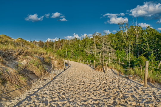 Endless Sandy Dunes of Leba in Poland