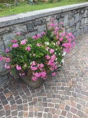 strada pedonale area pedonale strada paese piazza sampietrini vaso di fiori camminare 