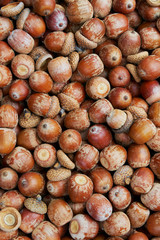 Stack of acorns. Natural autumnal background