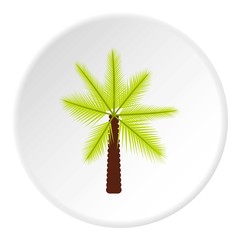 Big palm tree icon. Flat illustration of big palm tree vector icon for web