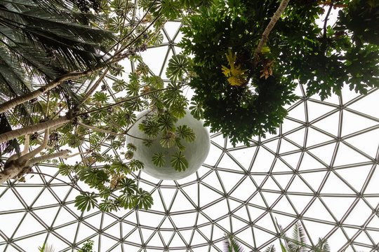 Roof of Geodesic Dome