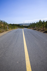 asphalt road on grassland