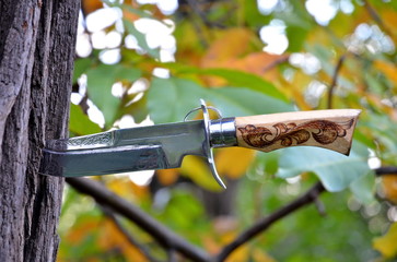 Боевой нож,воткнутый в дерево.