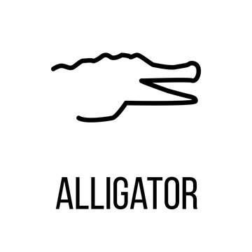Alligator Icon Or Logo In Modern Line Style. 