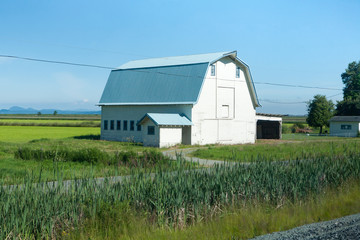 Obraz premium Blue tin roofed barn on prairie