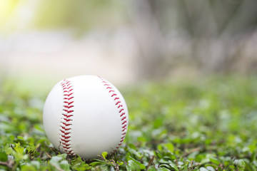 close up of baseball in the grass in the morning