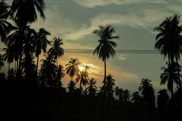 PAISAJE DE ATARDECER 