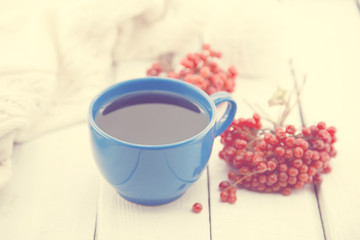 Blue cup of a therapeutic herbal tea with rowan berry on white r