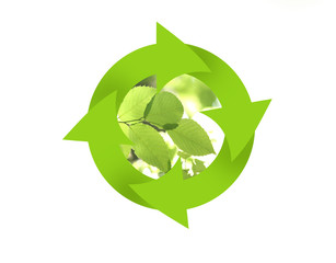 エコロジーリサイクル　自然環境　若葉