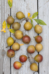 Seckel pears scattered on a weathered wooden garden table 