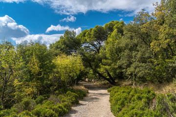 The Royal trail in Crimea