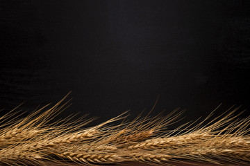Wheat ears on black background