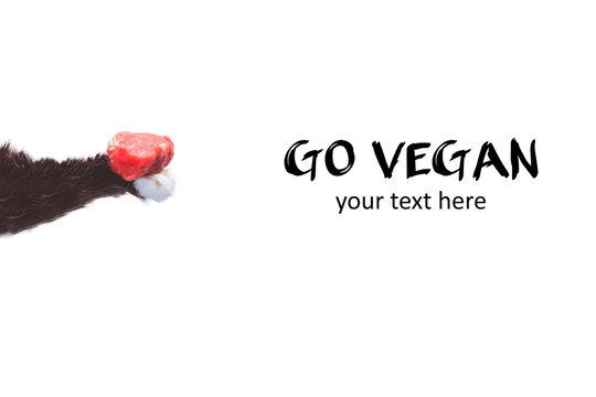 Go vegan! Concept of veganism. Vegan diet.  Cat paw with meat.