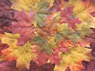 Naklejka na ściany i meble fall seasonal composition