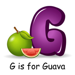 Fruit alphabet: G is for Guava