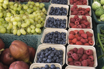 Farmers Market Bounty