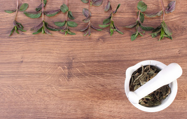 Fresh natural green and dried mint with mortar, healthy lifestyle, copy space for text