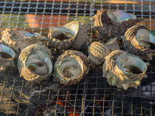 Turban shell BBQ