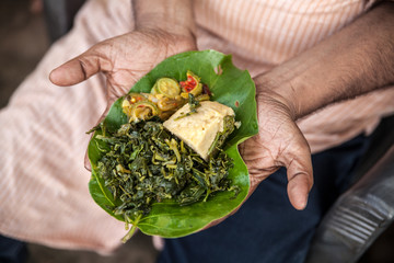 Indigenous meal on a leaf plate in Jharkhand, India. All vegetables are uncultivated  the Adivasi people collected them in the woods. © Christina Felschen
