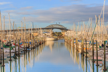 Obraz na płótnie Canvas Boats mooring with Auckland harbor bridge background in Auckland