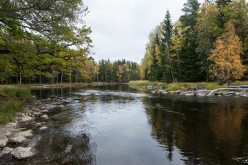 Swedish river landscape in autumn