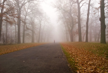 Autumn landscape.