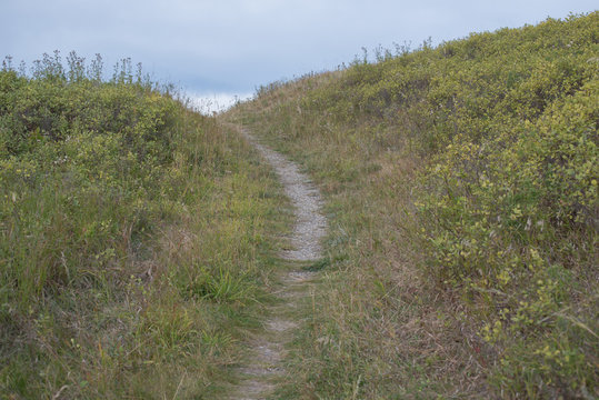Over The Hill