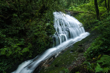 Obraz premium The beautiful waterfall in forest at Doi Inthanon, Chiangmai Thailand