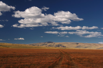 Fototapeta na wymiar Road in a field of orange grass, disappearing into the distance on a background of rocky hills under white clouds and blue sky, Plateau Ukok, Altai mountains, Siberia, Russia