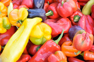 Assorted colors of sweet bell peppers