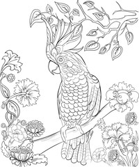 Hand drawn ink pattern. Coloring book for adult