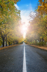 autumn landscape with road
