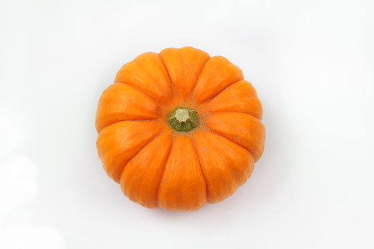 courge 12102016