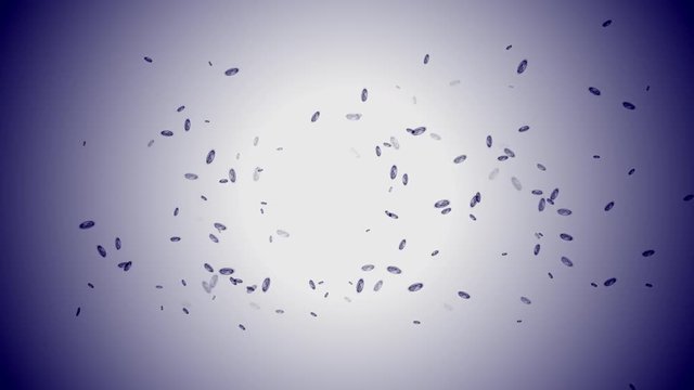 Quick growth of microbes or germs under the microscope.  Bacteria or microbes, reproduction under a microscope.