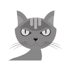 Cat cartoon icon. Pet animal domestic and care theme. Isolated design. Vector illustration