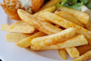 french fires with spicy seasoning