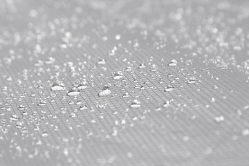 Water drops on a light gray background. Abstract background.