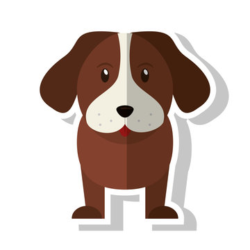 Dog cartoon icon. Pet animal domestic and care theme. Isolated design. Vector illustration
