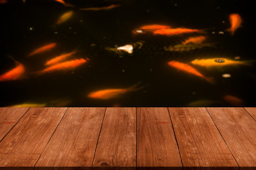 View of the red fishes in the pond in the garden over old light