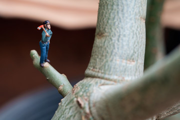 Toy lumberman / View of miniature toy, lumberman standing on tree. Focus on lumberman.