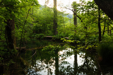Plitvice lakes park in Croatia.