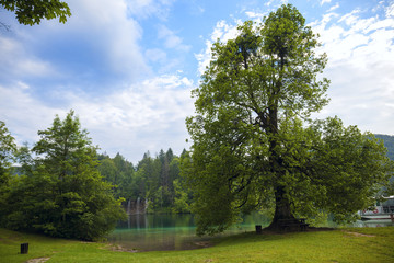 Plitvice lakes park in Croatia.